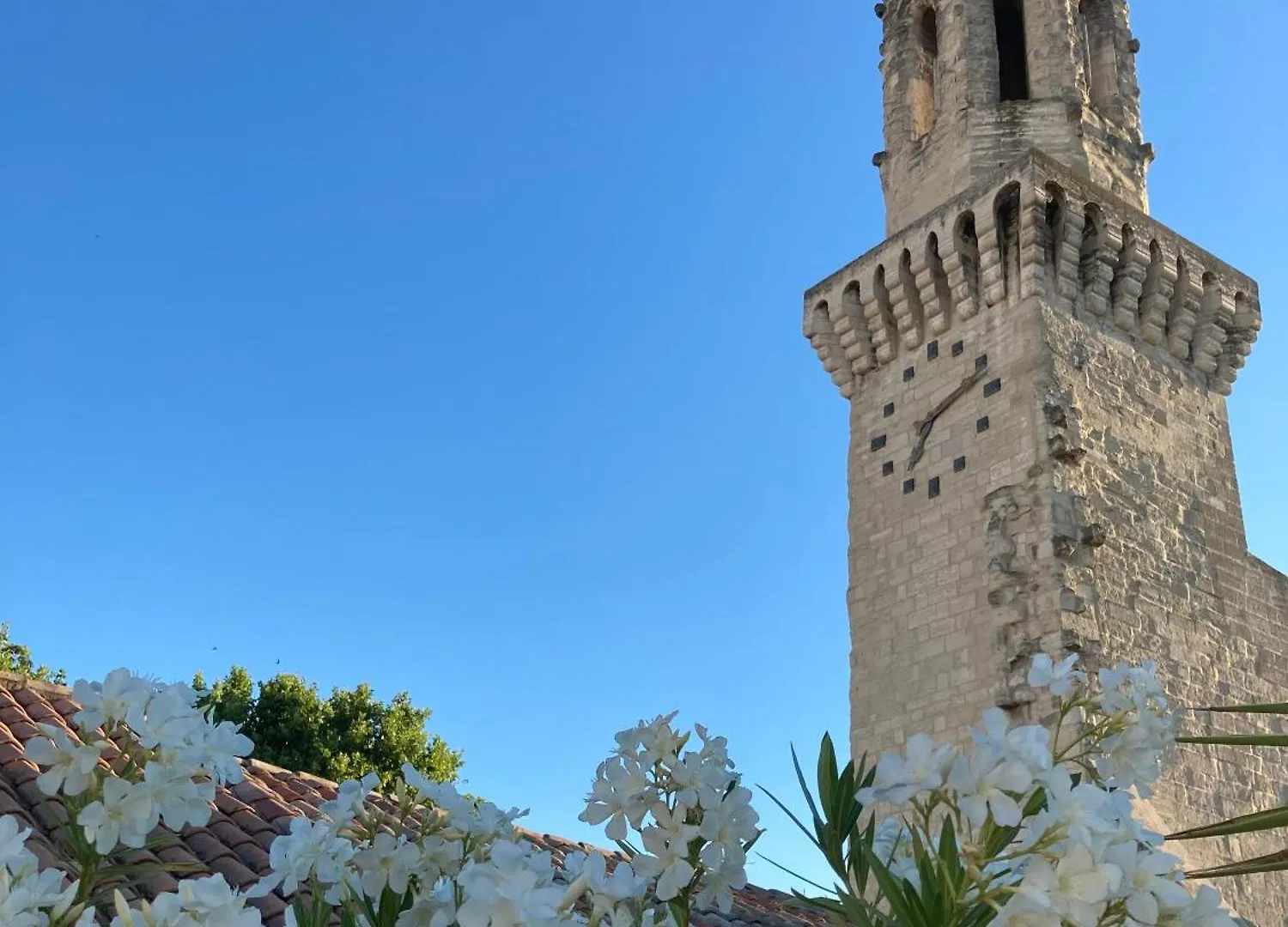 Bed and Breakfast Aux Augustins Avignon Frühstückspension