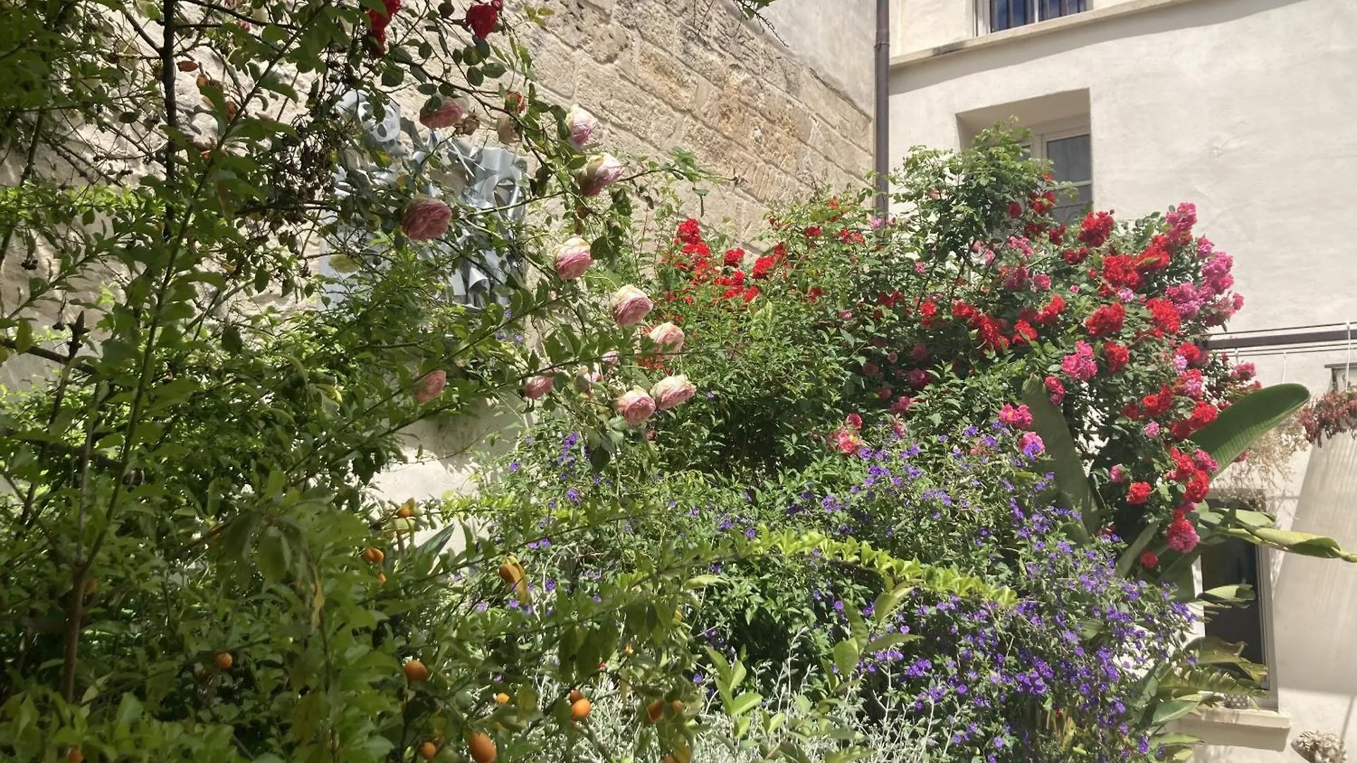 Bed and Breakfast Aux Augustins à Avignon Couette-café