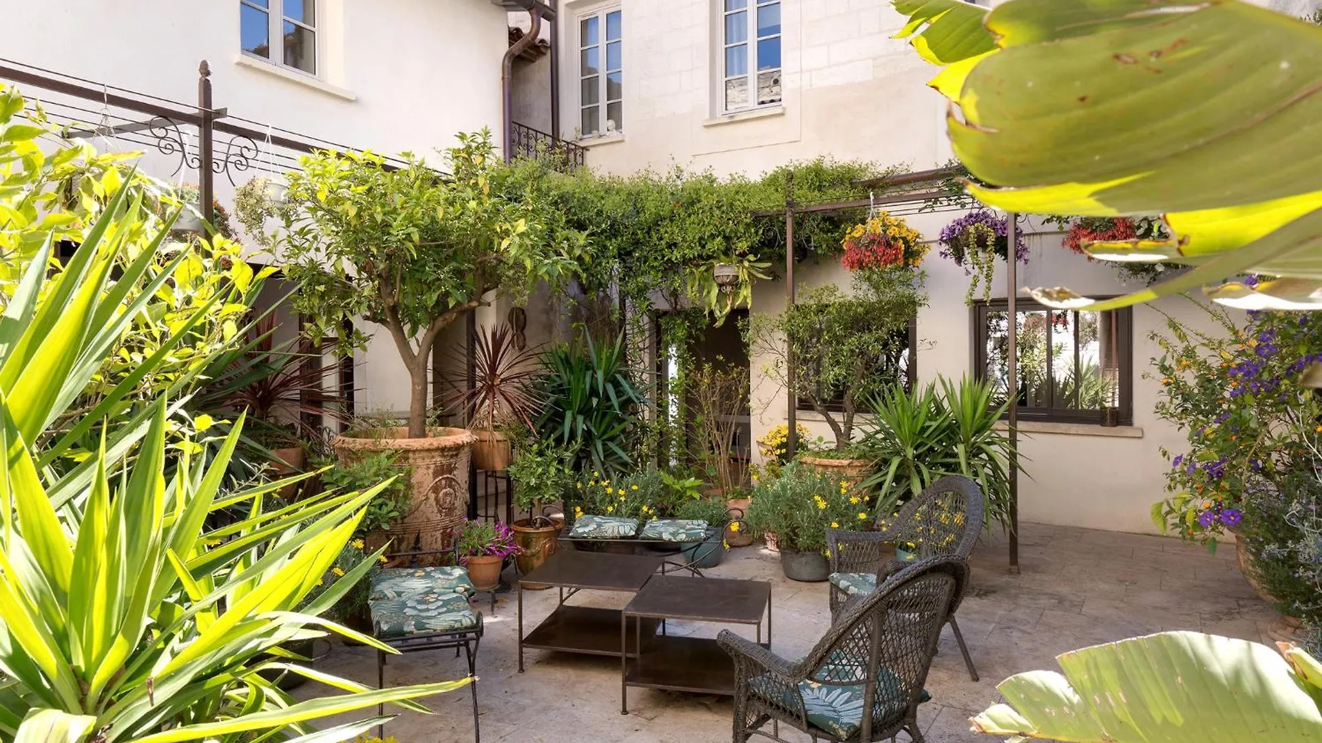 אביניון La Maison Des Augustins 4 Stars Spa Et Fitness לינה וארוחת בוקר