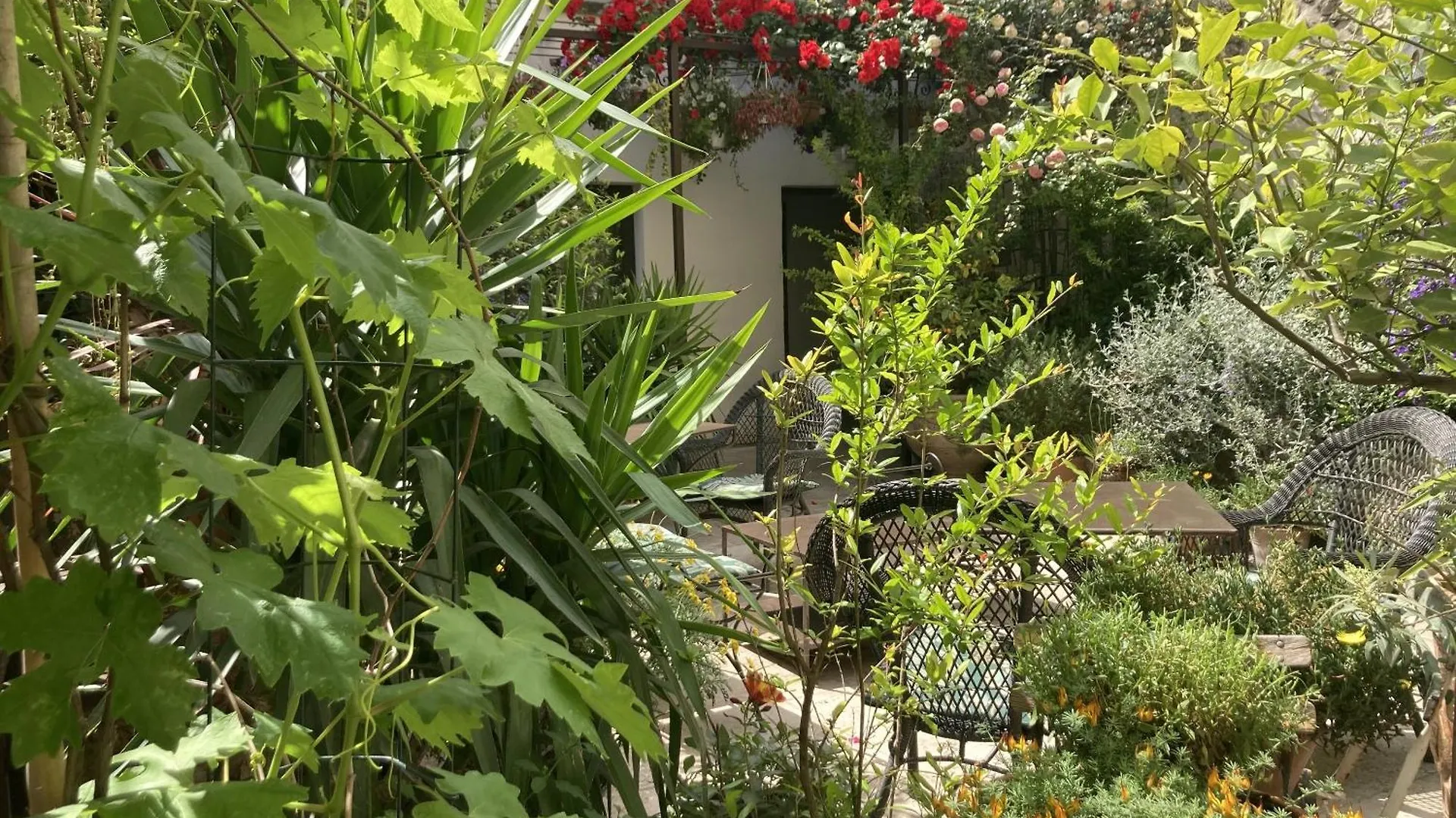Bed & Breakfast La Maison Des Augustins 4 Stars Spa Et Fitness Avignon
